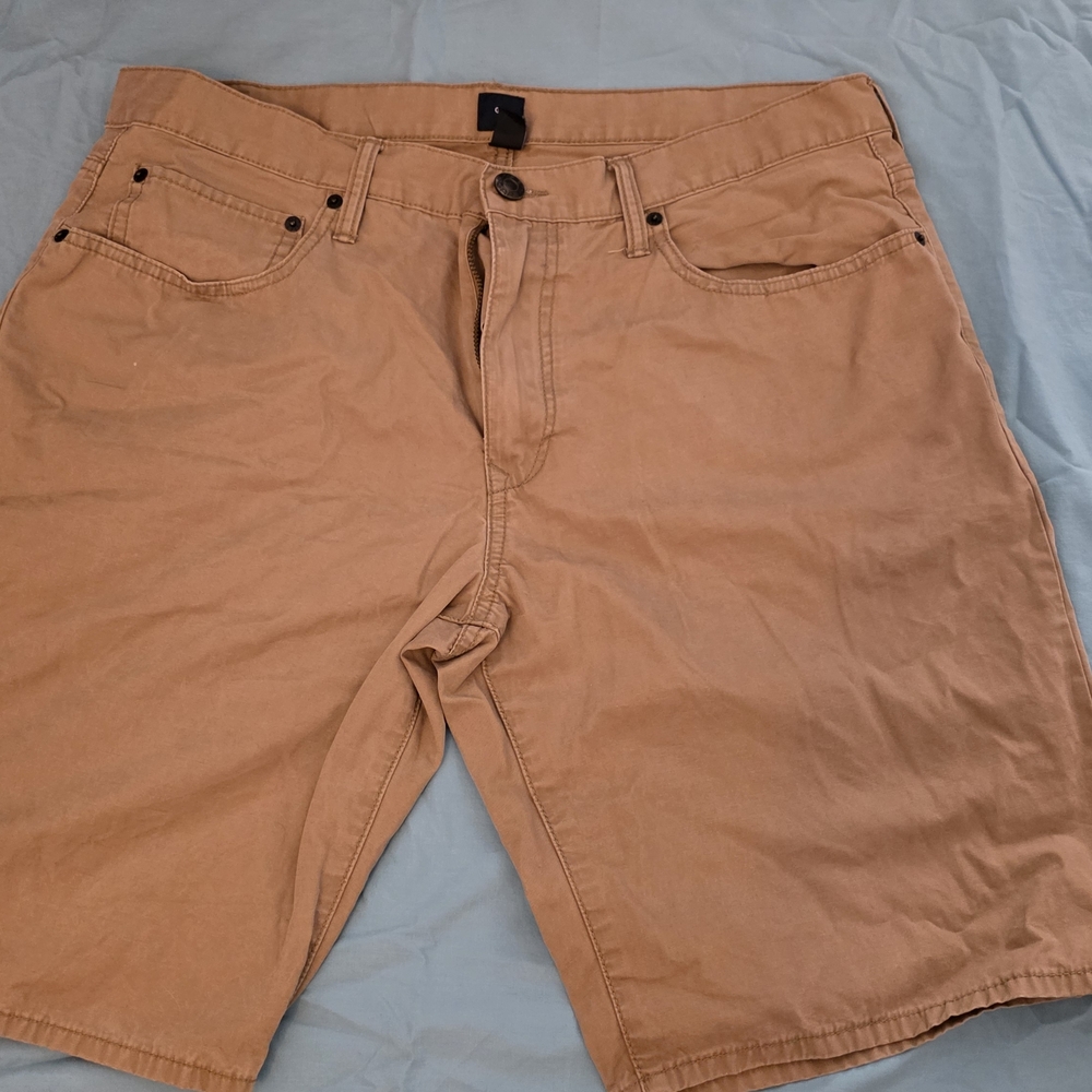 GAP Men's Flat Front Tan Shorts
